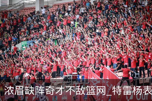 浓眉缺阵奇才不敌篮网 特雷杨表现平平